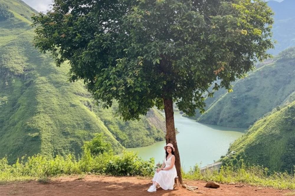 Ngồi suy tư dưới bóng cây Tà Xùa giữa mây trời Tây Bắc